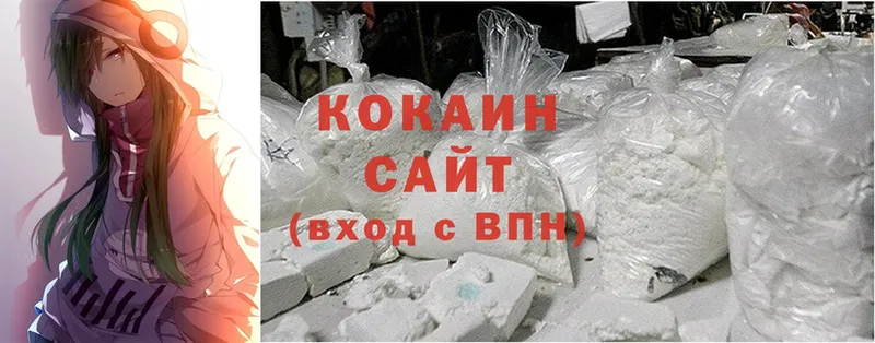 Cocaine Fish Scale  купить наркотик  Новоузенск 